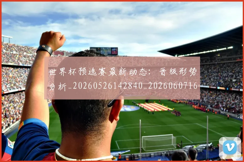 世界杯预选赛最新动态:晋级形势分析_20260526142840_20260607160653