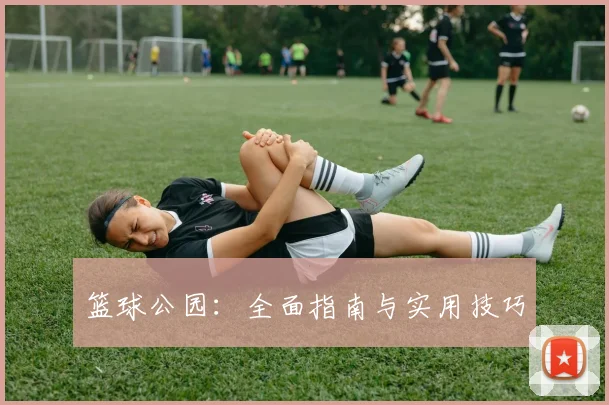 篮球公园:全面指南与实用技巧